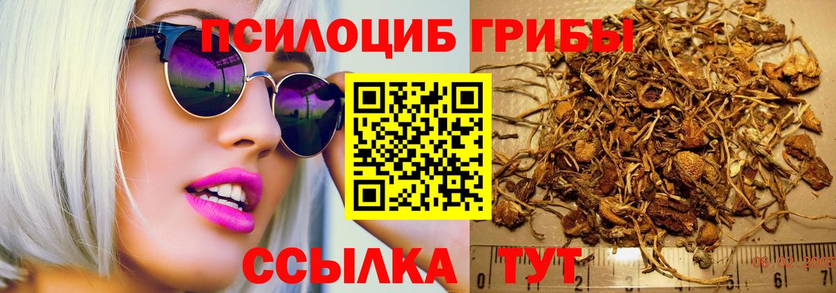 Галлюциногенные грибы прущие грибы Мелеуз